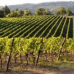 Castello La Leccia Κατάλυμα σε φάρμα Castellina in Chianti