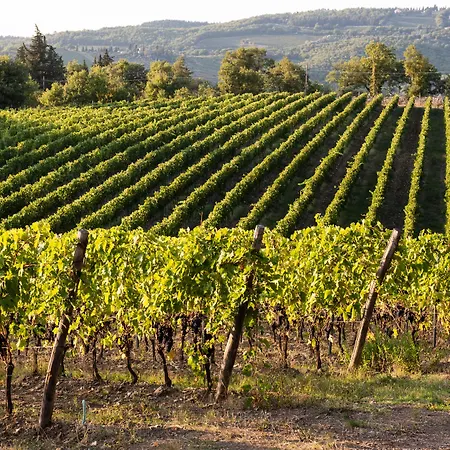 Castello La Leccia Alojamento de Turismo Rural Castellina in Chianti